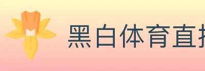 黑白体育直播 logo